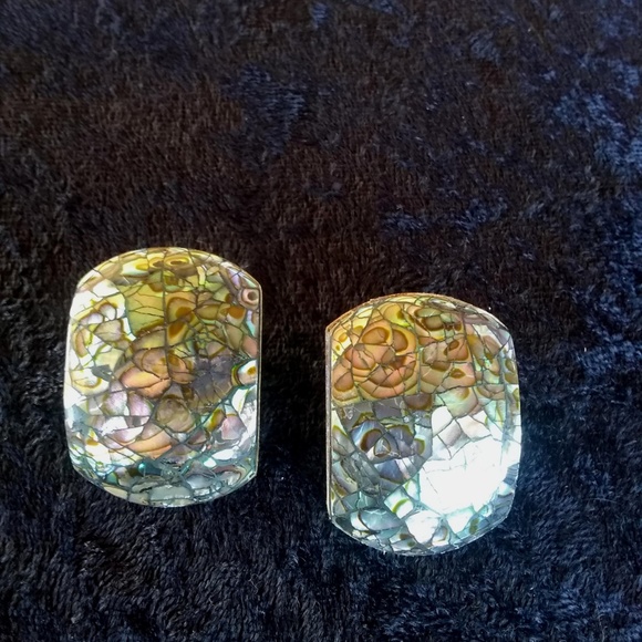 Vintage Karla Jordan - Paua Shell Crackle Earrings - Picture 1 of 3